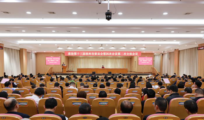1.政協(xié)第十三屆梧州市委員會第四次會議第二次全體會議現(xiàn)場.JPG