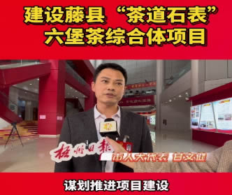 建設(shè)藤縣“茶道石表”六堡茶綜合體項目